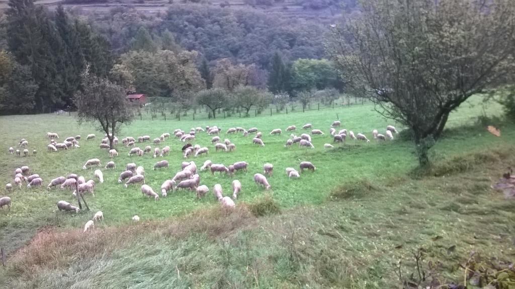 Antica Casa Ortensia Riva del Garda Pokoj fotografie