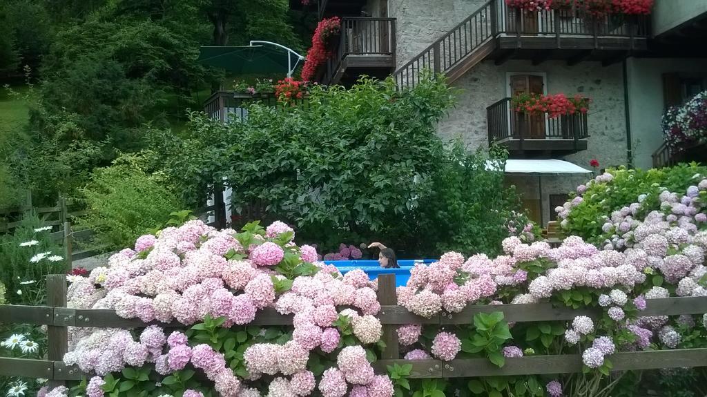 Antica Casa Ortensia Riva del Garda Pokoj fotografie
