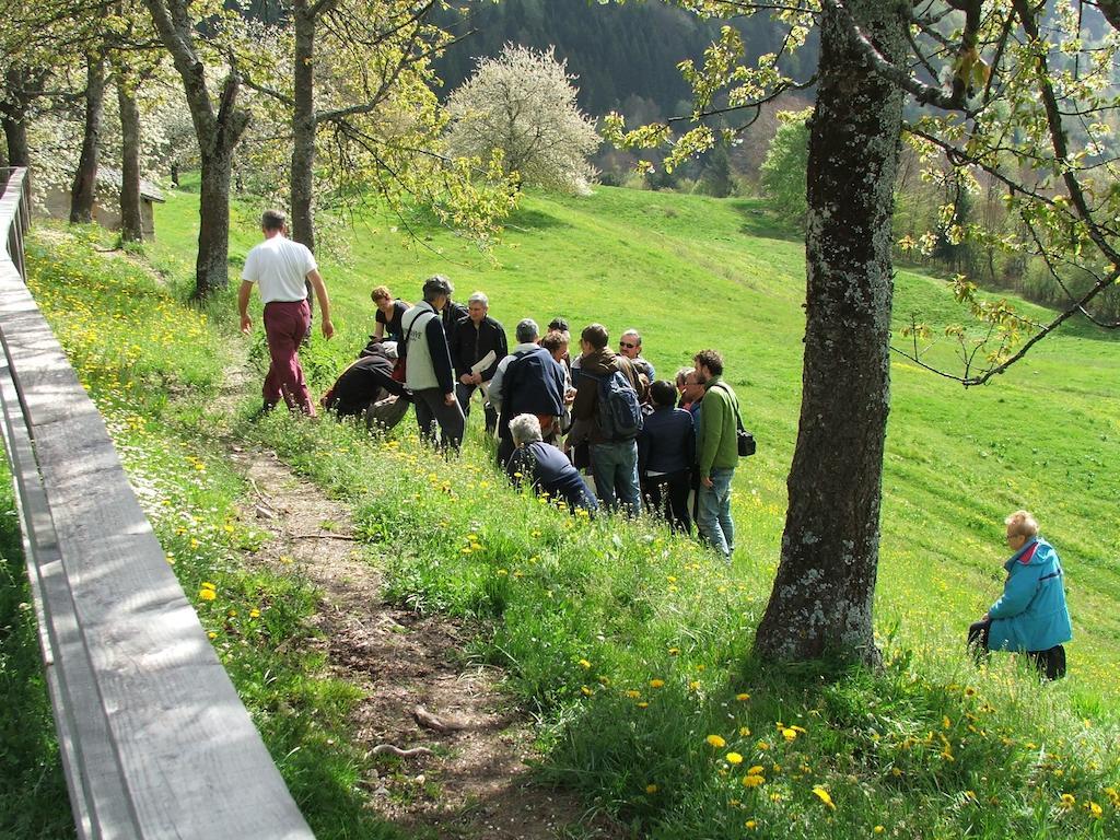 Antica Casa Ortensia Riva del Garda Pokoj fotografie